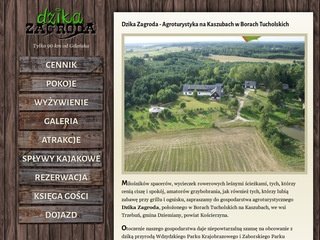 Podgląd nakaszubach.pl