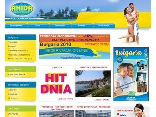 Miniaturka amida.com.pl