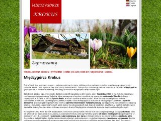 Podgląd miedzygorze-krokus.pl