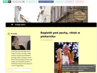 Podgląd lazurowewybrzeze.blog.onet.pl