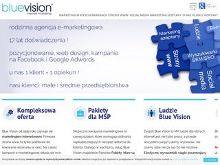 Podgląd bluevision.pl