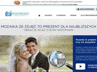 Podgląd mozaikowo.com.pl