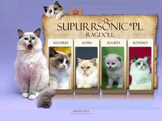 Podgląd supurrsonic.pl