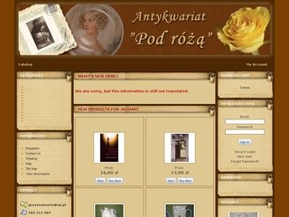 Podgląd antykwariat-pod-roza.pl