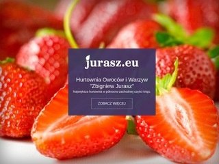 Podgląd jurasz.eu