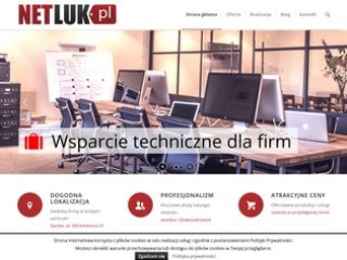 Podgląd netluk.pl