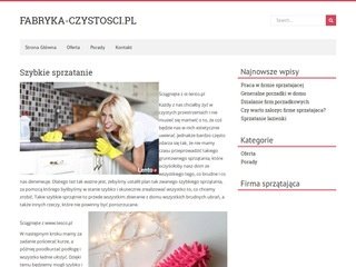 Podgląd fabryka-czystosci.pl