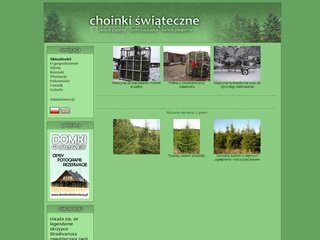 Podgląd choinki.webd.pl