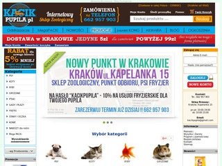 Podgląd kacikpupila.pl