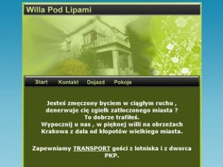 Podgląd willapodlipami.pl