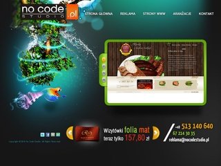 Podgląd nocodestudio.pl