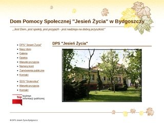 Podgląd dps.bydgoszcz.pl