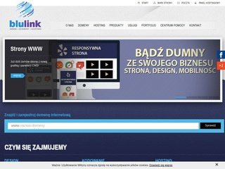 Podgląd blulink.pl