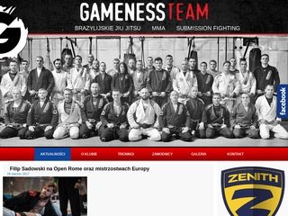 Podgląd gamenessteam.pl