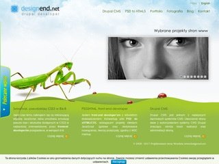 Podgląd designend.net