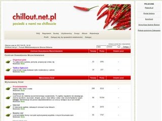 Podgląd chillout.net.pl