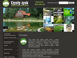 Podgląd czystyzysk.eu