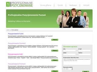 Podgląd profesjonalnepozycjonowanie.pl