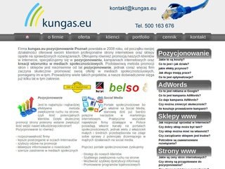 Podgląd kungas.eu