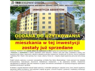 Podgląd trio-development.pl