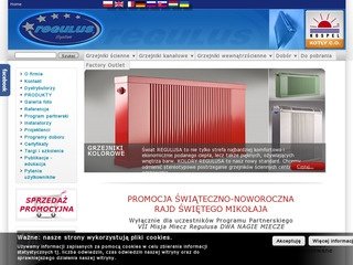 Podgląd regulus.com.pl