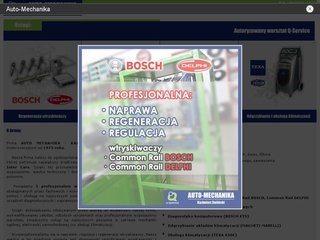 Podgląd automechanika-plock.pl