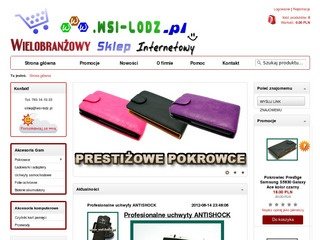 Podgląd wsi-lodz.pl