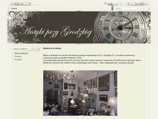 Podgląd antyki-sklep.com.pl