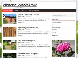 Podgląd delgrado.pl