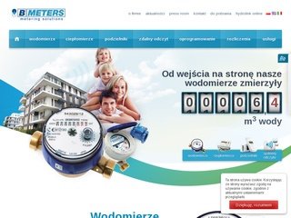 Podgląd bmeters.pl