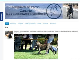 Podgląd dogo-canario.pl