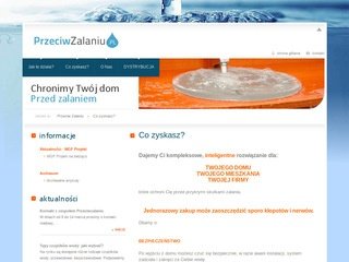 Podgląd przeciwzalaniu.pl