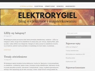 Podgląd elektrorygiel.pl