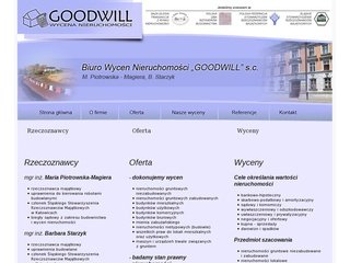 Podgląd bwn-goodwill.pl