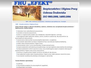 Podgląd fhu-efekt.pl