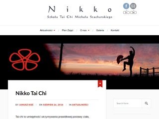 Podgląd nikko-taichi.pl