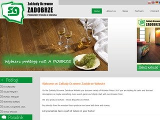 Podgląd sg.com.pl