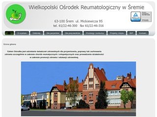 Podgląd reumatologia.srem.net