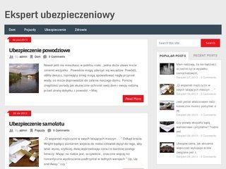 Podgląd ekspert-ubezpieczenia.com.pl