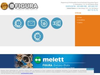 Podgląd figura.com.pl