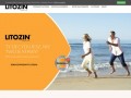 Podgląd litozin.com.pl