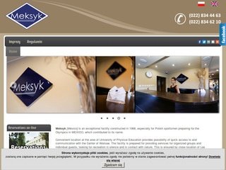 Podgląd hotelmeksyk.com