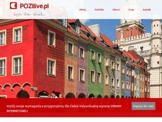 Podgląd pozitive.pl