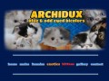 Podgląd archidvx.pl