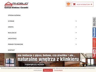 Podgląd andbud.pl