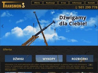 Podgląd transmon.com.pl