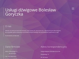 Miniaturka dzwigowe.com.pl