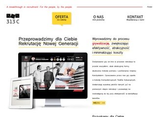 Podgląd 313consulting.org