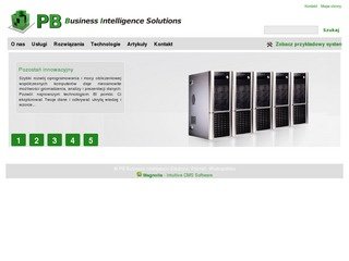 Podgląd pb-bi-solutions.pl