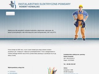 Podgląd solidnyelektryk.com